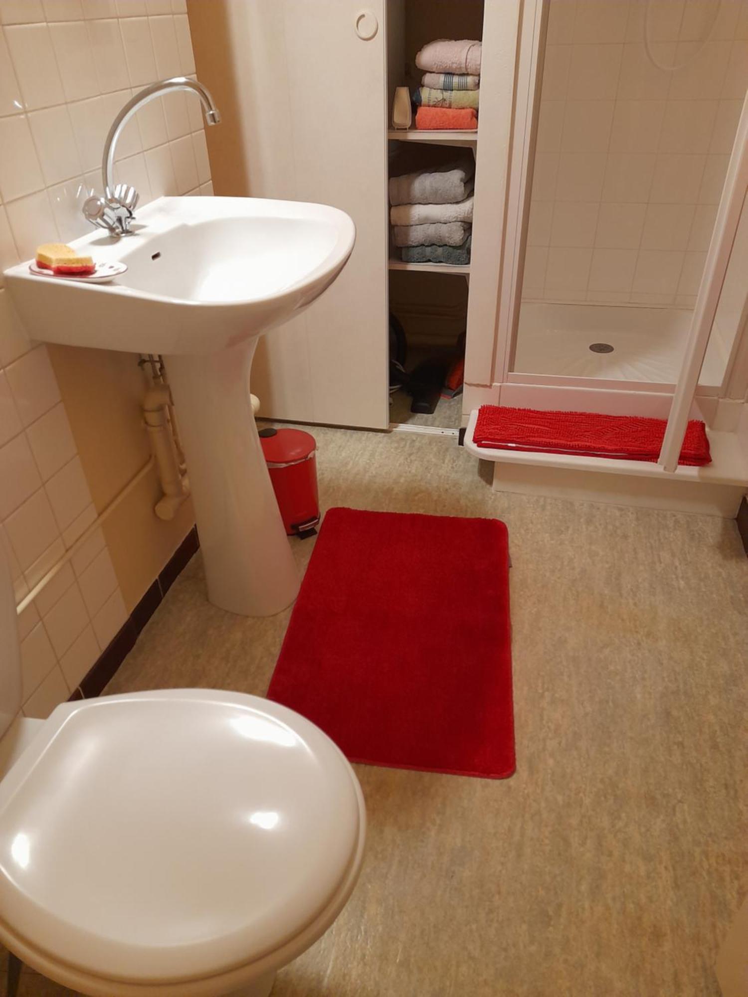 Appartement Du Pont De La Seine Troyes Buitenkant foto