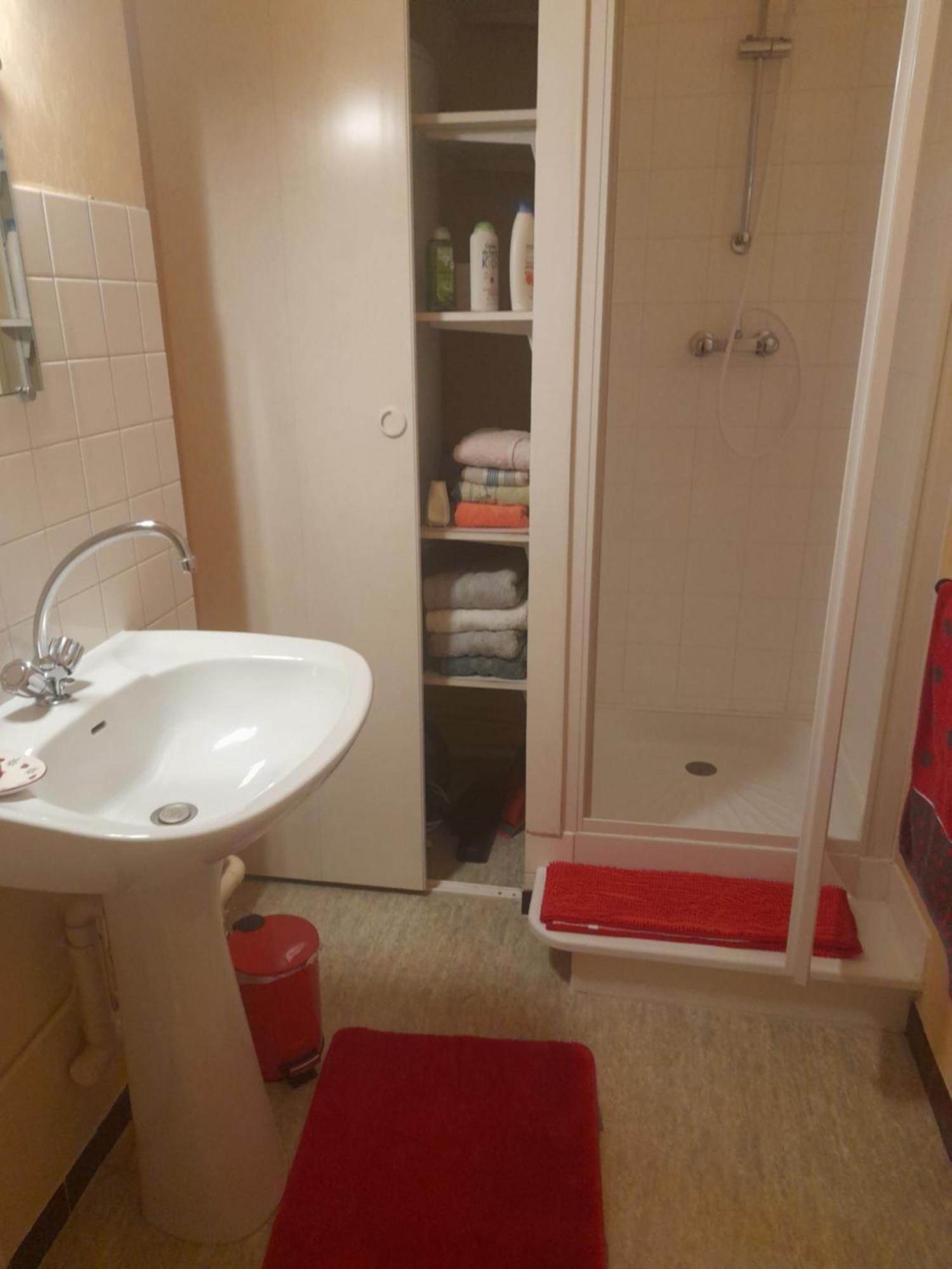 Appartement Du Pont De La Seine Troyes Buitenkant foto